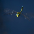 Im Anflug