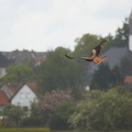 Im Landeanflug