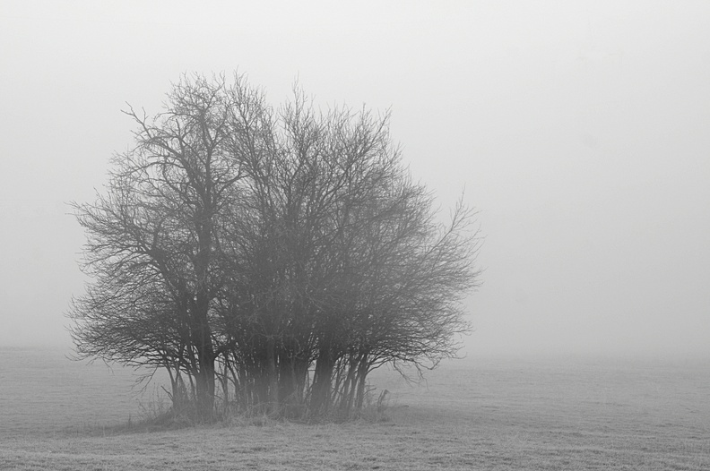 nebel3.jpg