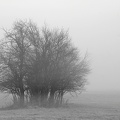Minimalistisch