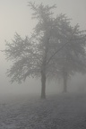 DSC06452